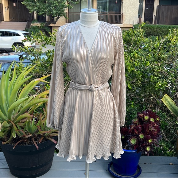 Bardot Dresses & Skirts - BARDOT Pleated Dress Champagne Color Ballon Sleeves Belted Size 4